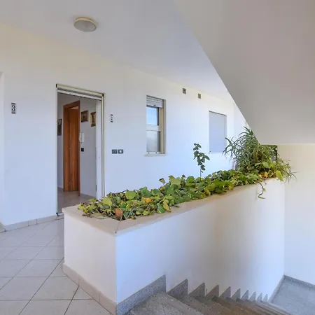 Pet Friendly سانتاغاتو دي ميليتي
