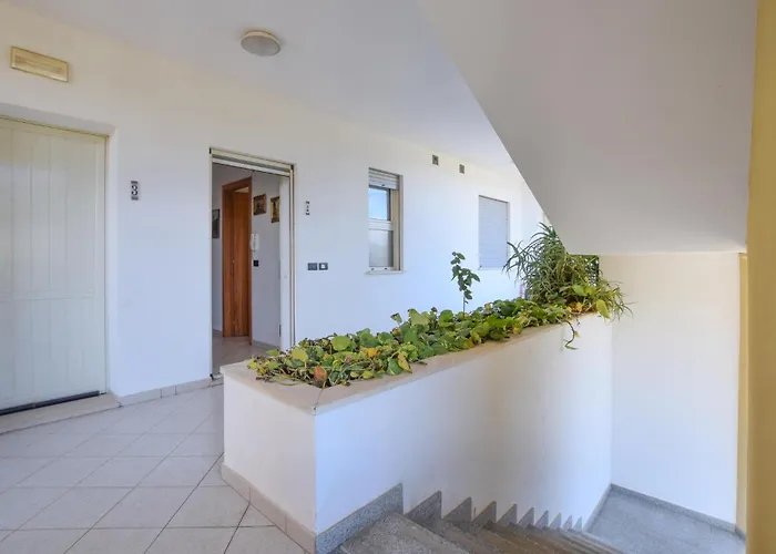 Pet Friendly SantʼAgata di Militello